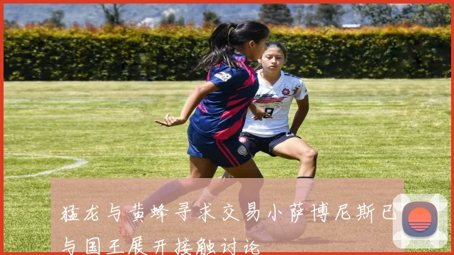 猛龙与黄蜂寻求交易小萨博尼斯已与国王展开接触讨论