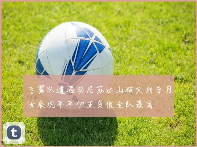 飞翼队遭遇明尼苏达山猫失利李月汝表现平平但正负值全队最高